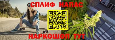 шишки Коммунар